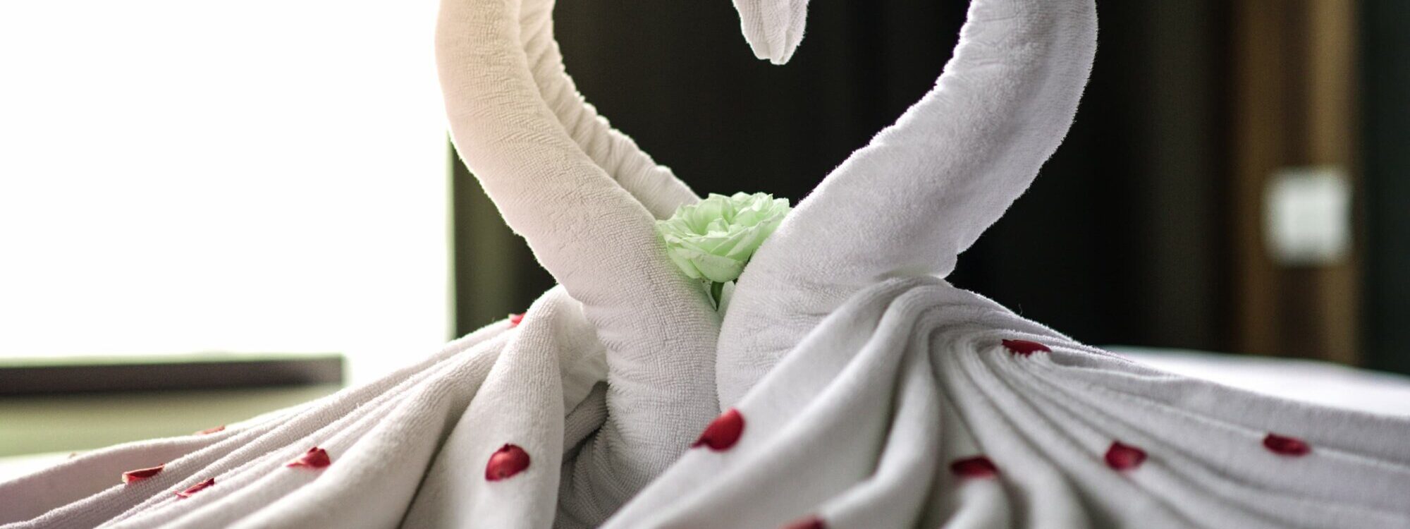 HOTEL ROOM COUPLE 2000X750 | American Spa Motel Comment décorer une chambre pour une nuit romantique ? Bethoncourt